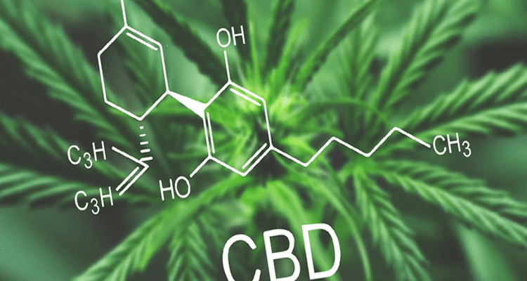 Write for Us CBD Guest Post