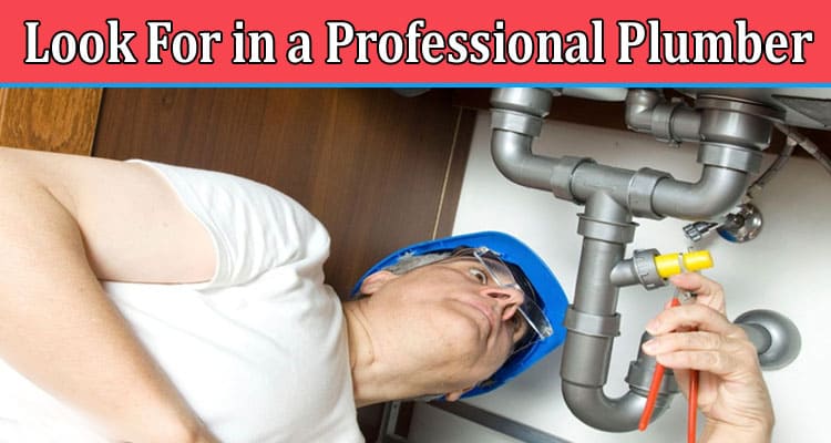 Top 5 Qualities to Look For in a Professional Plumber