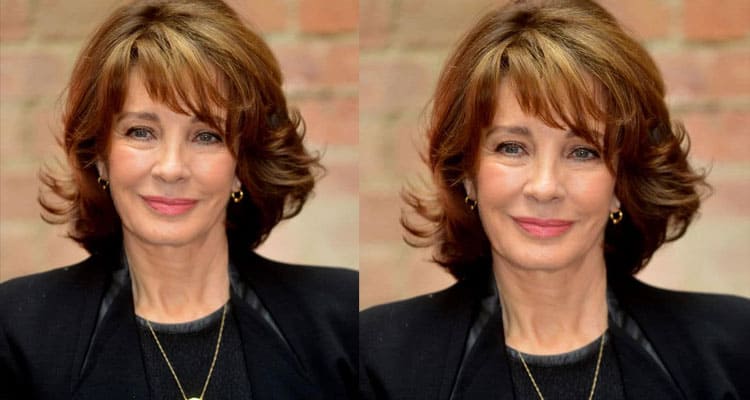 Anne Archer Net Worth (Jun 2023) How Rich is She Now?